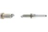 STEYR 0041596503 Spark Plug